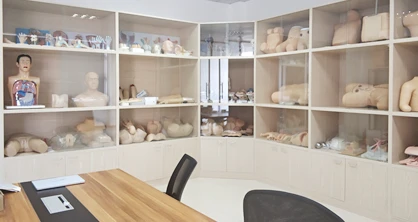 BIX-A1067 big heart anatomical structure models