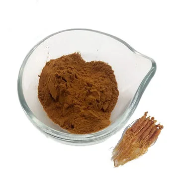Supply Top Quality Korean Red Ginseng Extract Powder Red Ginseng Powder