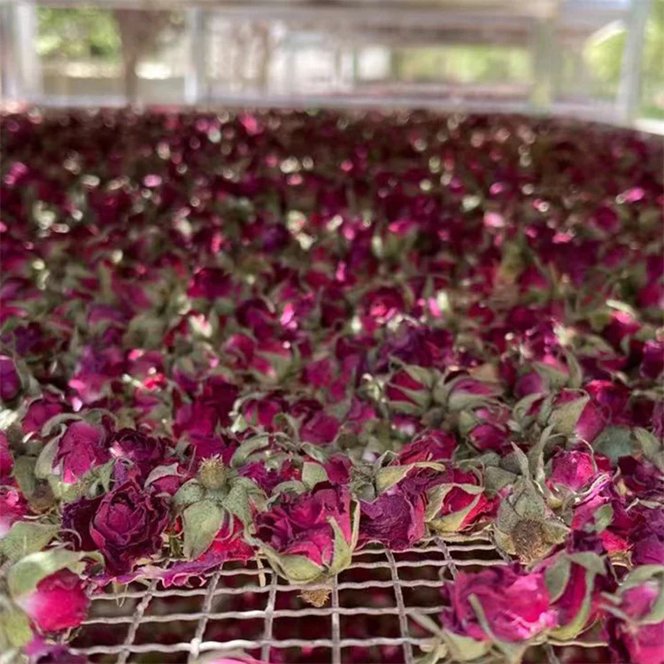 Princess Shao Factory Supply Dried Rose Buds Tea  Best price China Organic Rose Tea