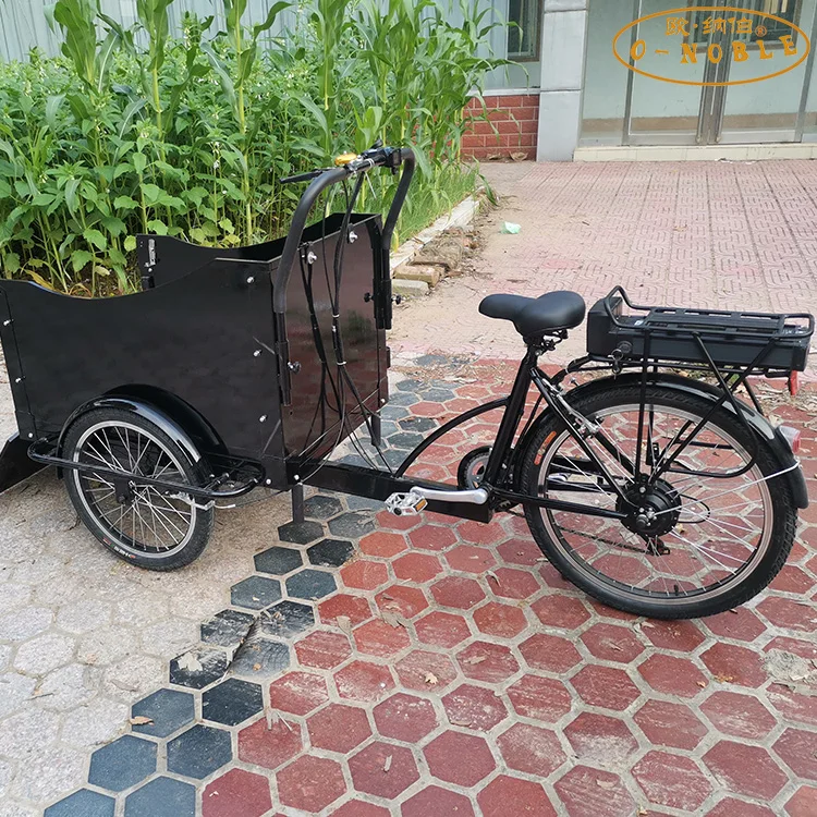 Electric tricycles 3.wheel electric cargo bike Black mini pet car