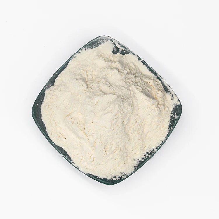 Food Grade E415 200mesh/80mesh 25kg bag Xanthan Gum