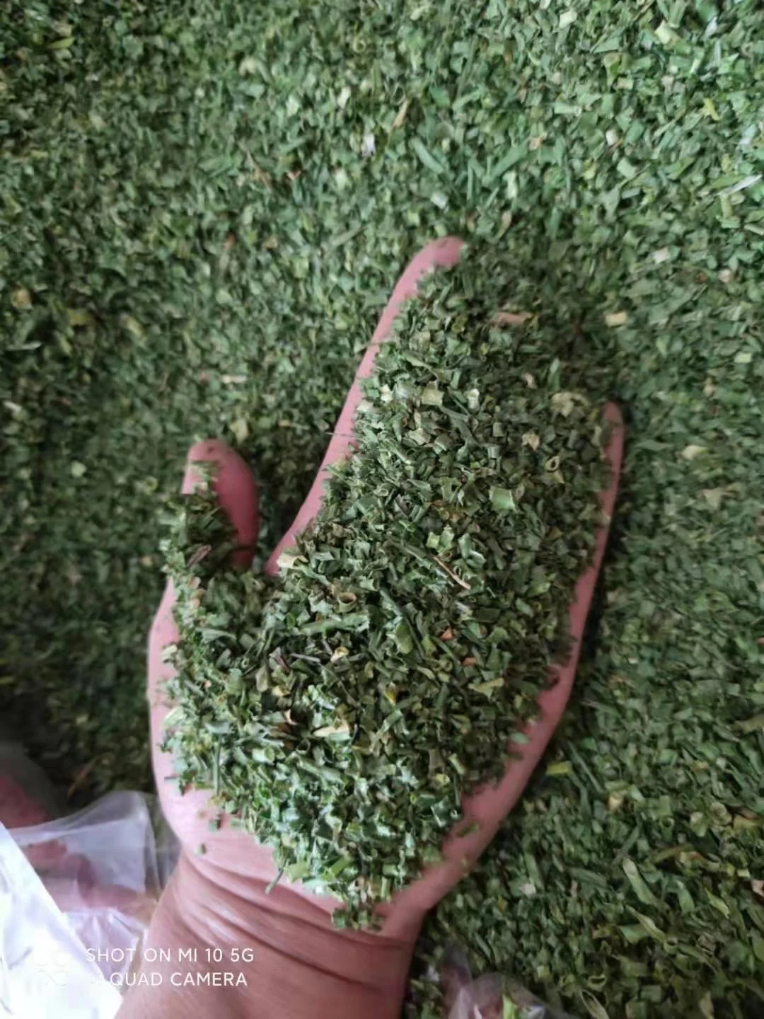 Chinese Dried green onion Dehydrated Green Onions Dried Chives Leek For Seasoning