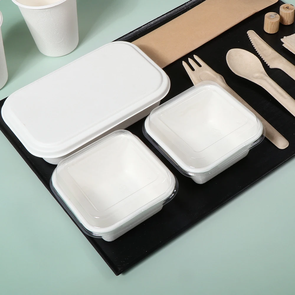 Inflight Customized Wholesale Bagasse Hot Meal Food Container Biodegradable Sugarcane Airline Casserole