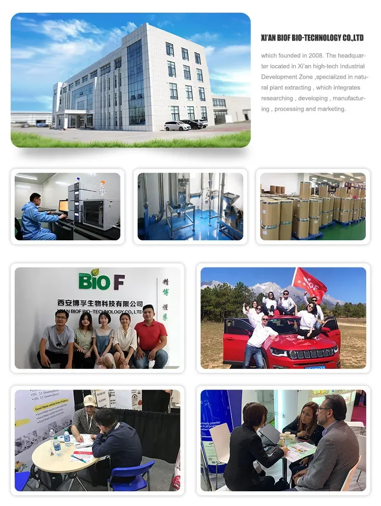 BIOF Factory Supply Hot Selling High Quality Raspberry Ketones  with good price