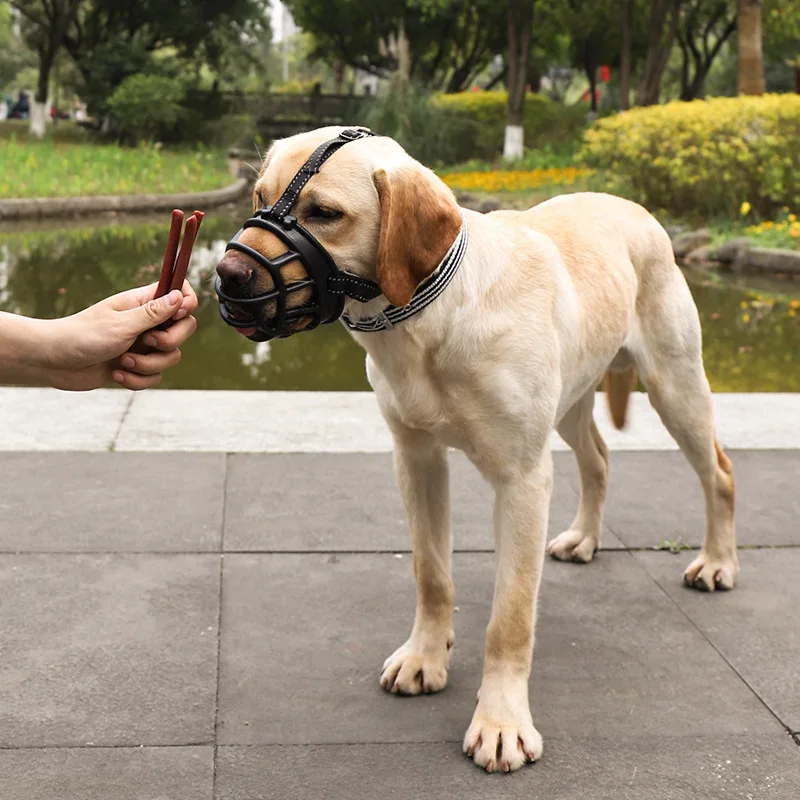  Dropshipping Special Counter Orange Color Grey Beige Other Pet Products Anti-bite dog