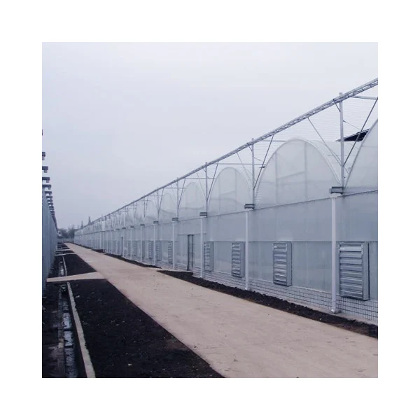 Sale Multi-Span Greenhouse Hydroponic System Agricultural Film Covered for Climate Control of Tomatoes & Cucumbers Green house