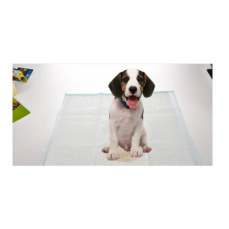 Wholesale waterproof disposable dog pee puppy training pet pad