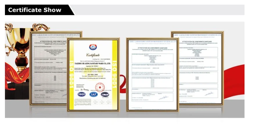 Certificate Show.png