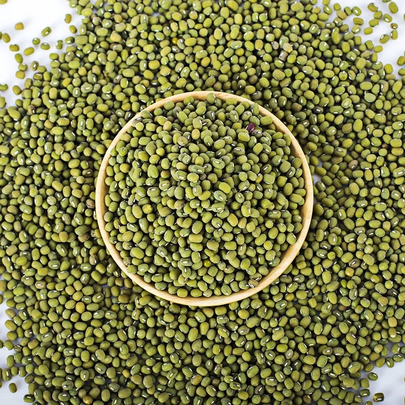 
Grade A Green Mung Beans from China for Food and Sprouting Moong Dal 