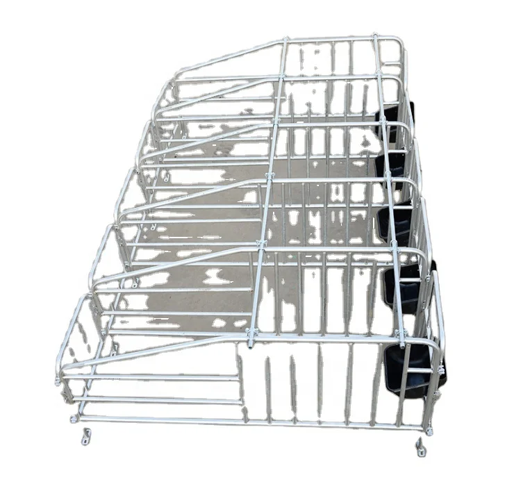 Hot sale Sow Positioning Bar Limit Bar Farrowing Crates Room