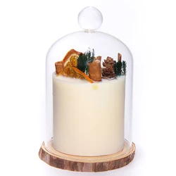 Factory Wholesale Glass Cloche Bell Jar Custom Large Small Bell Glass Cloche Clear Glass Dome With Wood
