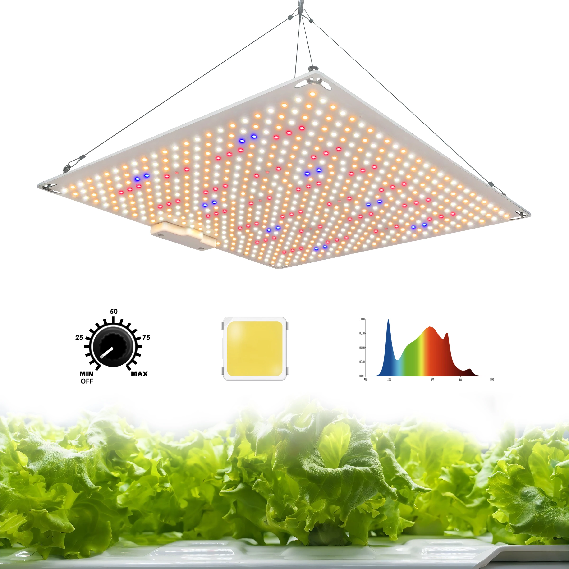 Redfarm COB Led Grow Light Plants Full Spectrum Led Grow Light Blue Red 200w Led Light
