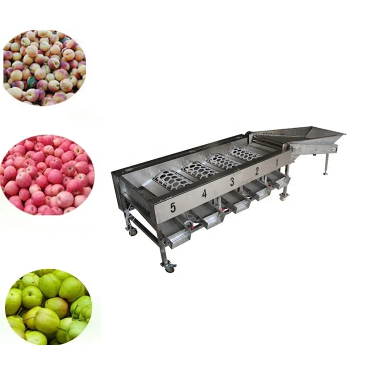 Factory price round  fruits sorting machine green snake fruit   grading machine