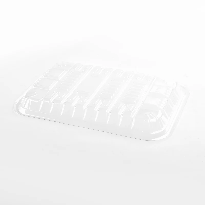 High Quality Plastic Container Factory Outlet Clear Food Container For Fruits