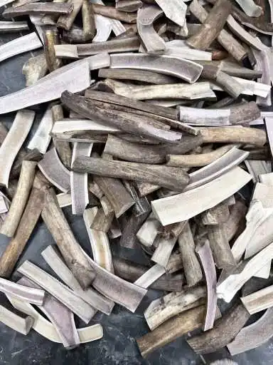 Китайский олень Олень жевать палочки для собак и кошек зубные зубы экологически чистые XL игрушка плюшевый в сумке