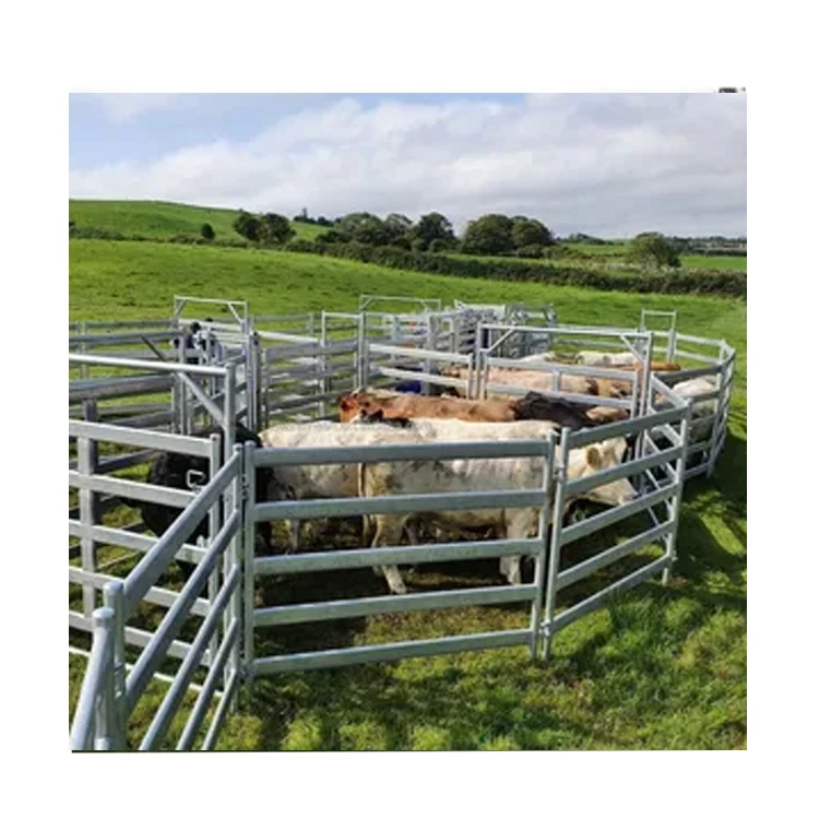 Heavy duty cattle corral panels cattle corral panels for rental