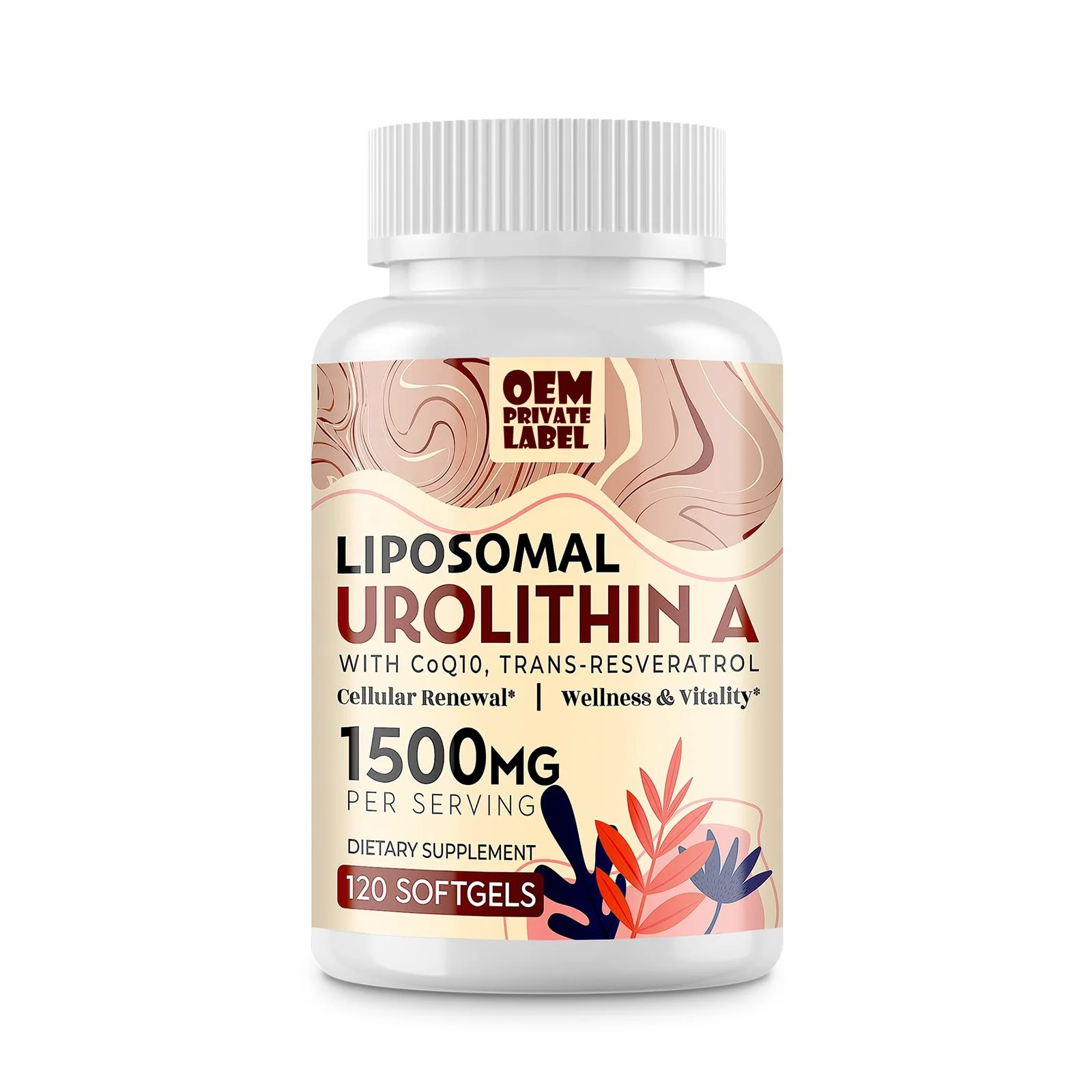 Urolithin A Capsules Urolithin A Supplement 1500 mg CoQ10 Trans Resveratrol Urolithin A Blend Resveratrol Inositol Capsules OEM