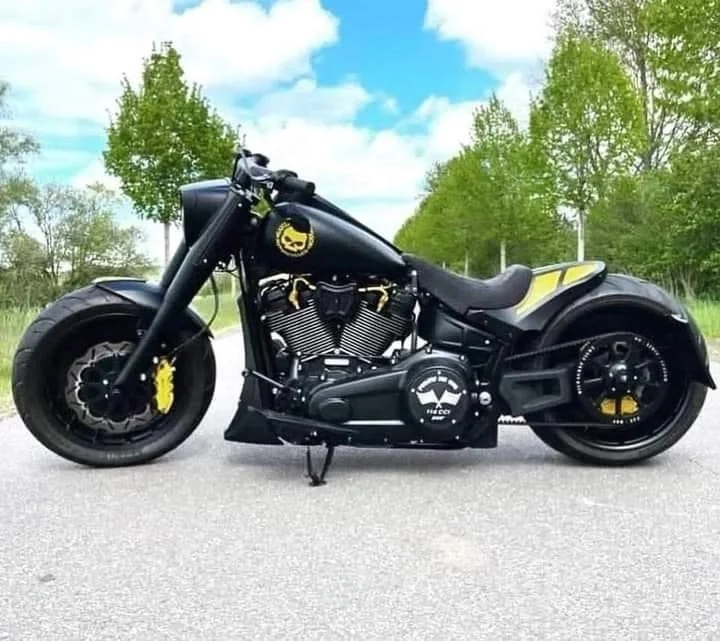 HarleyDavidson B-M-W Kawasaki1250cc 1250cc 1250ccatt electric bike motor motorcycle high speed adult for sale