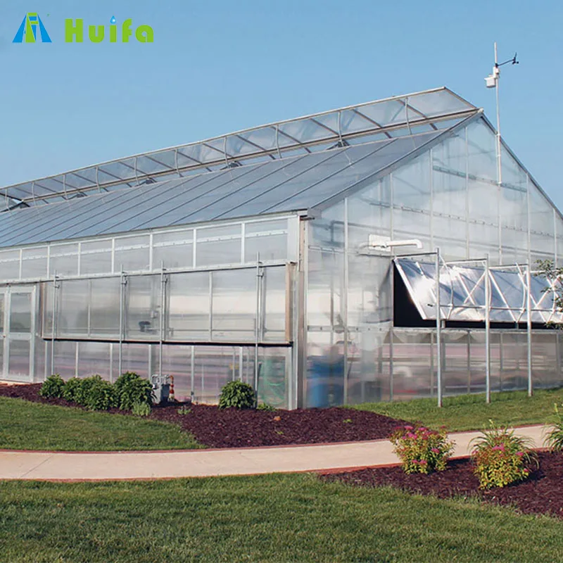 Single-span automatic Blackout policarbonate sheets greenhouse
