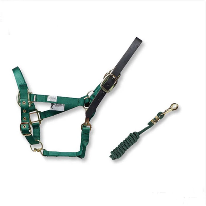 Индивидуальный дизайн для вашей лошади