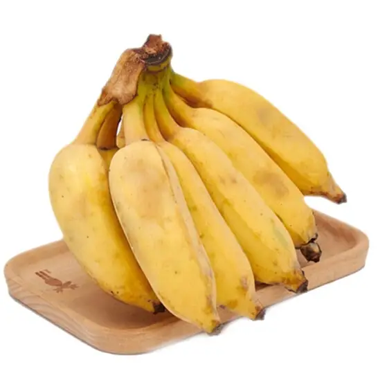 Su Banana Vietnamese Fresh Fruit Nutrition Vitamin Cheap Price Low MOQ For Export Delicious Top Grade Quality Hot Sell