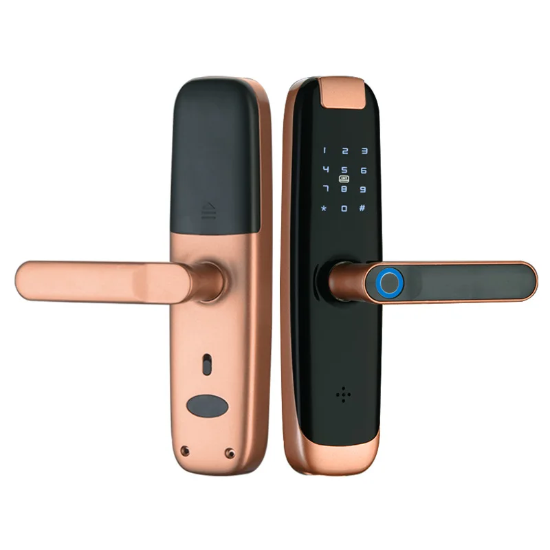 TTLOCK BLUE-TOOTH Smart Lock For House Front Door Biometric Fingerprint Interior Electronic Lock Intelligente Lever Lock