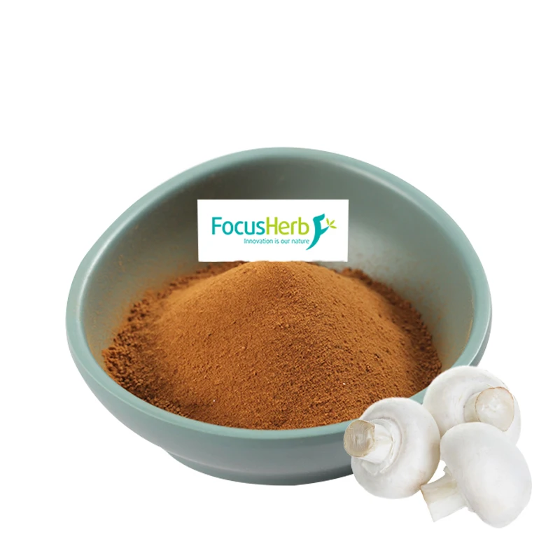 
Focusherb Oraganic Agaricus Bisporus Mushroom Polysaccharides 