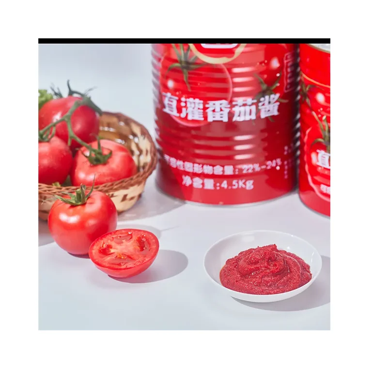 Factory Price 28-30% Brix Canned Tomato Paste 70g 210g 400g 800g 2200g 4500g Easy Open with Customized