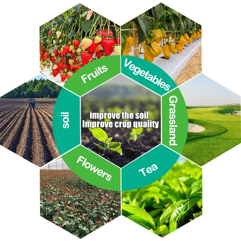 KHUMIC-100 Potassium fertilizer organic matter 70% HUMIC ACID 70%min FULVIC ACID high quality biostimulants supplier