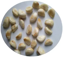 garlic color sorting mcachine/peeled garlic clove sorting machine/garlic clove optical sorter