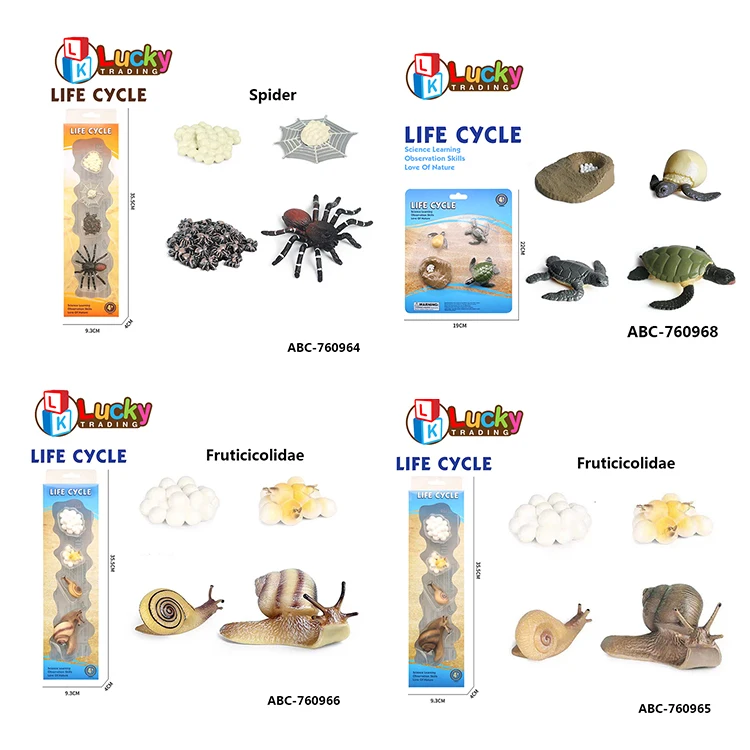 Plant life cycle Magnetic learning Giant Magnet kids educational toys