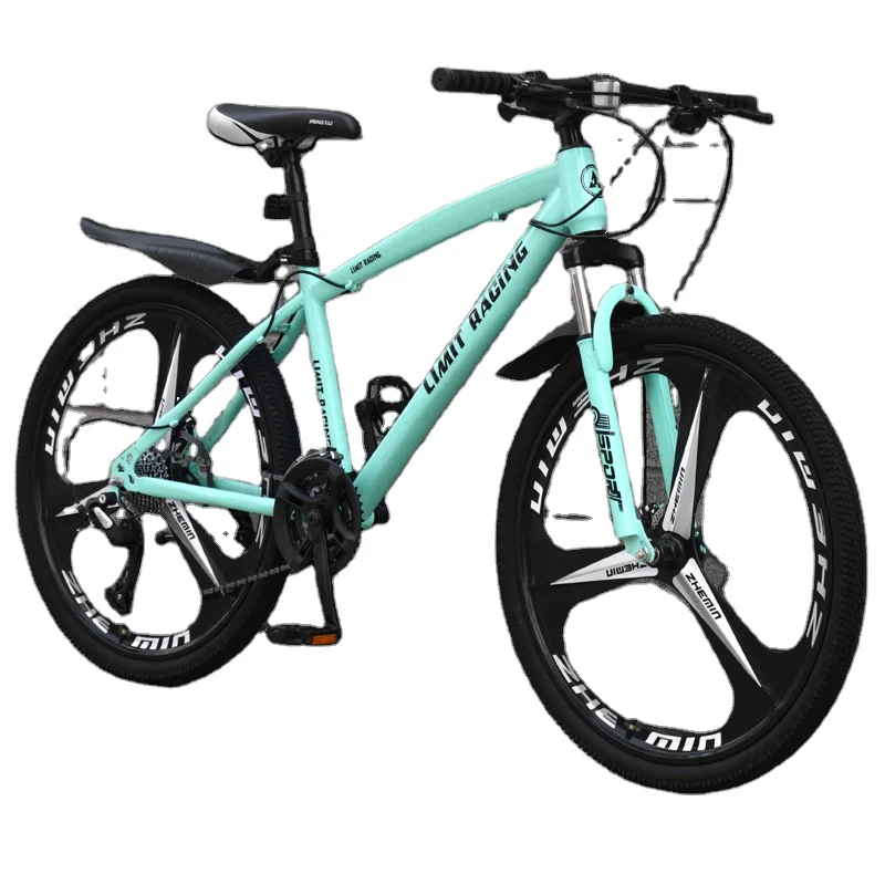 Custom Made in China High quality rubber wheels Titanium skeleton Mountain Bike for Outdoor