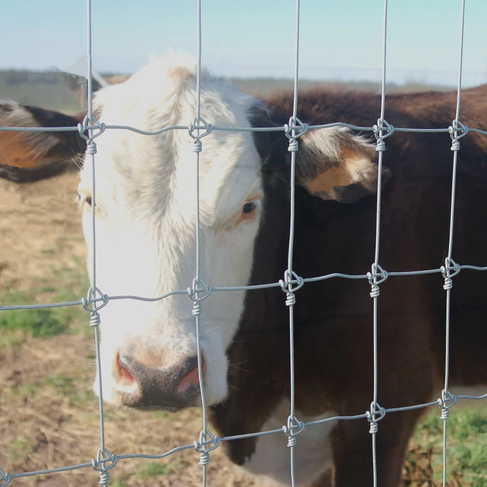 Solar Fencing Panels Post Box Yard Panel Field Livestock Farm Galvanized Gate Roll High Field Fence for Cattle