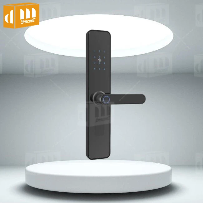 Dreammaker Wholesale Price Office School Room Aluminum Code Fingerprint Security Smart Door Lock With App Code Touch Keypad