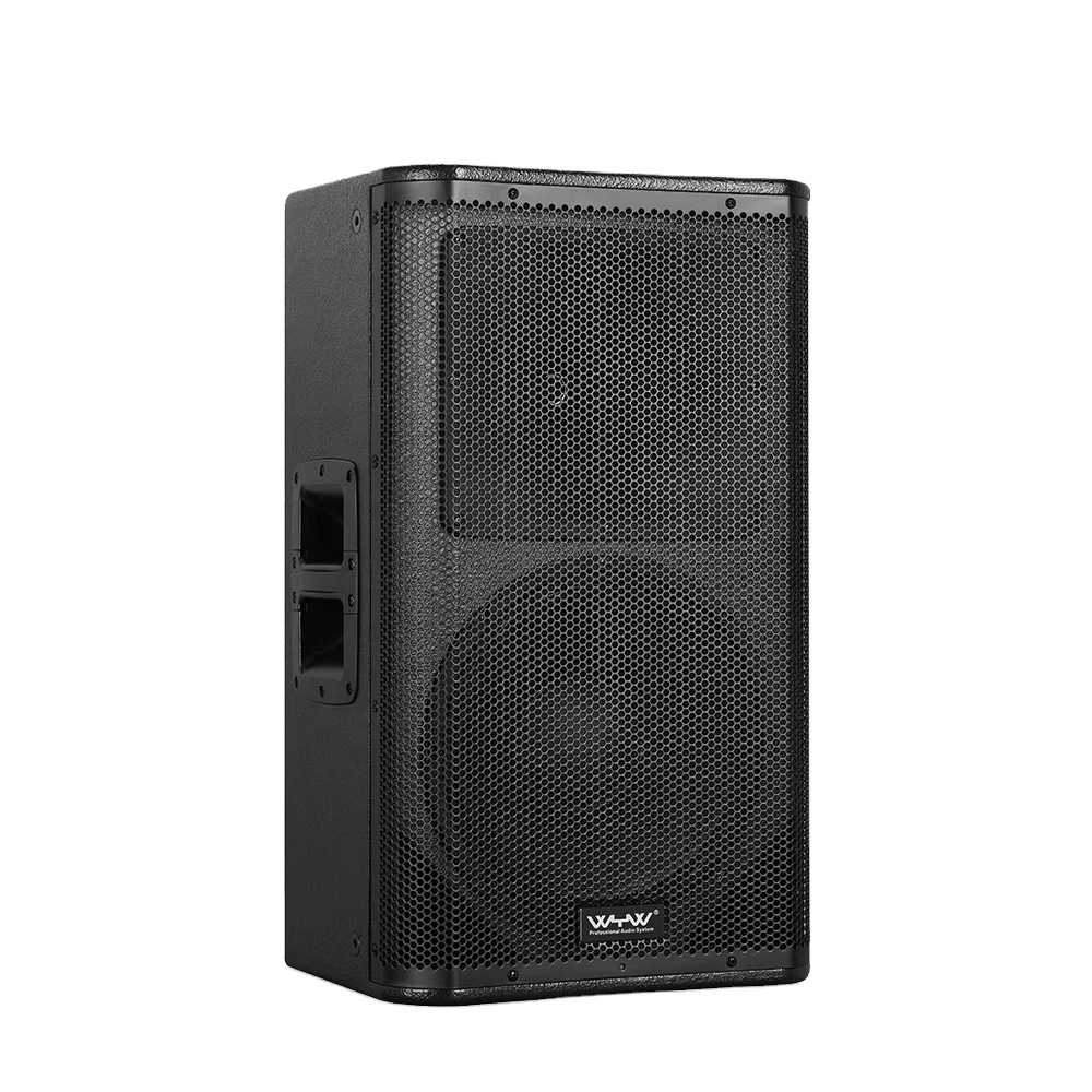 12 inch classD 1000w Active speaker wooden case