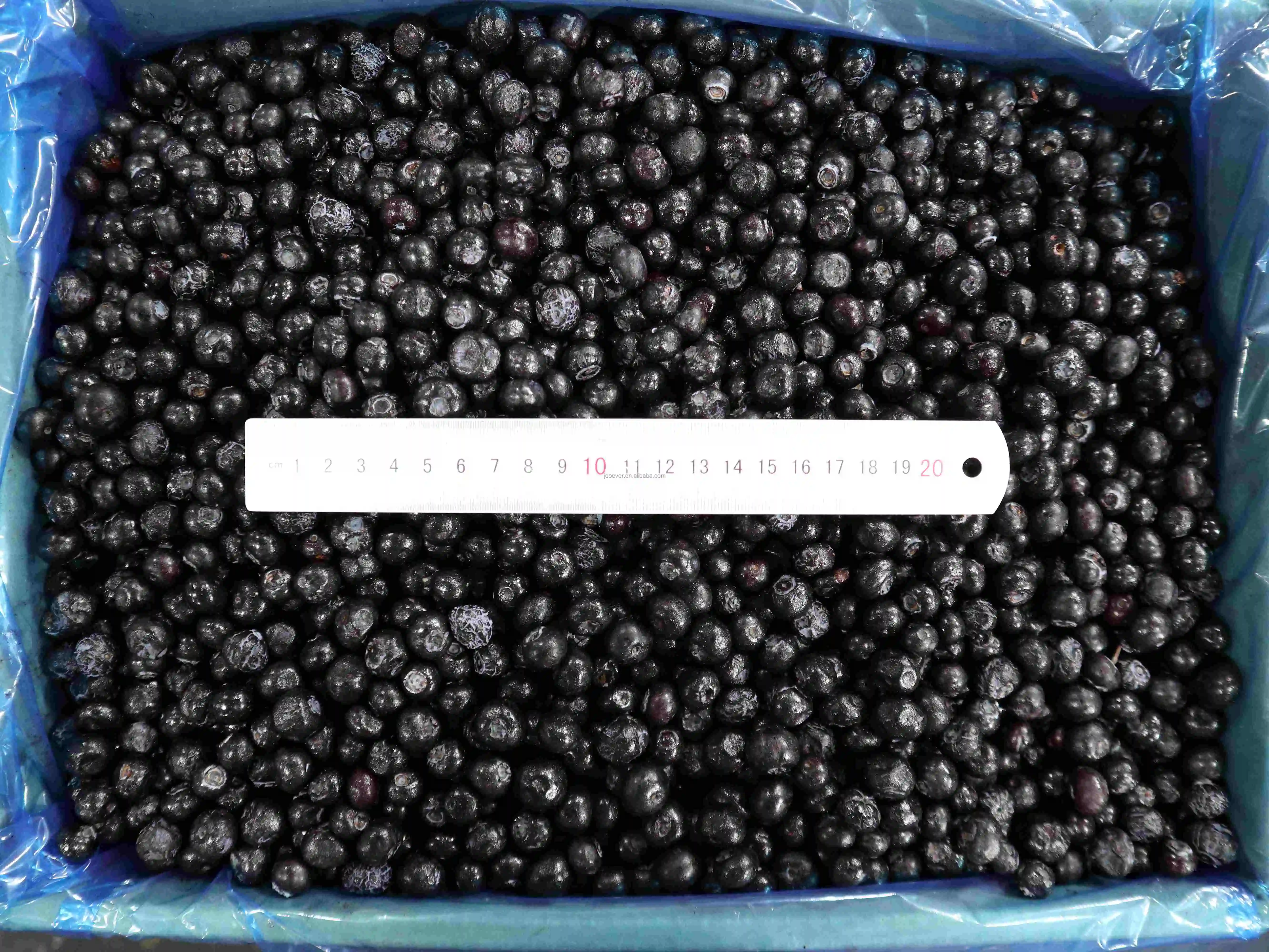 Сертифицированный BRC HACCP продукт из свежих фруктов с замороженной черникой