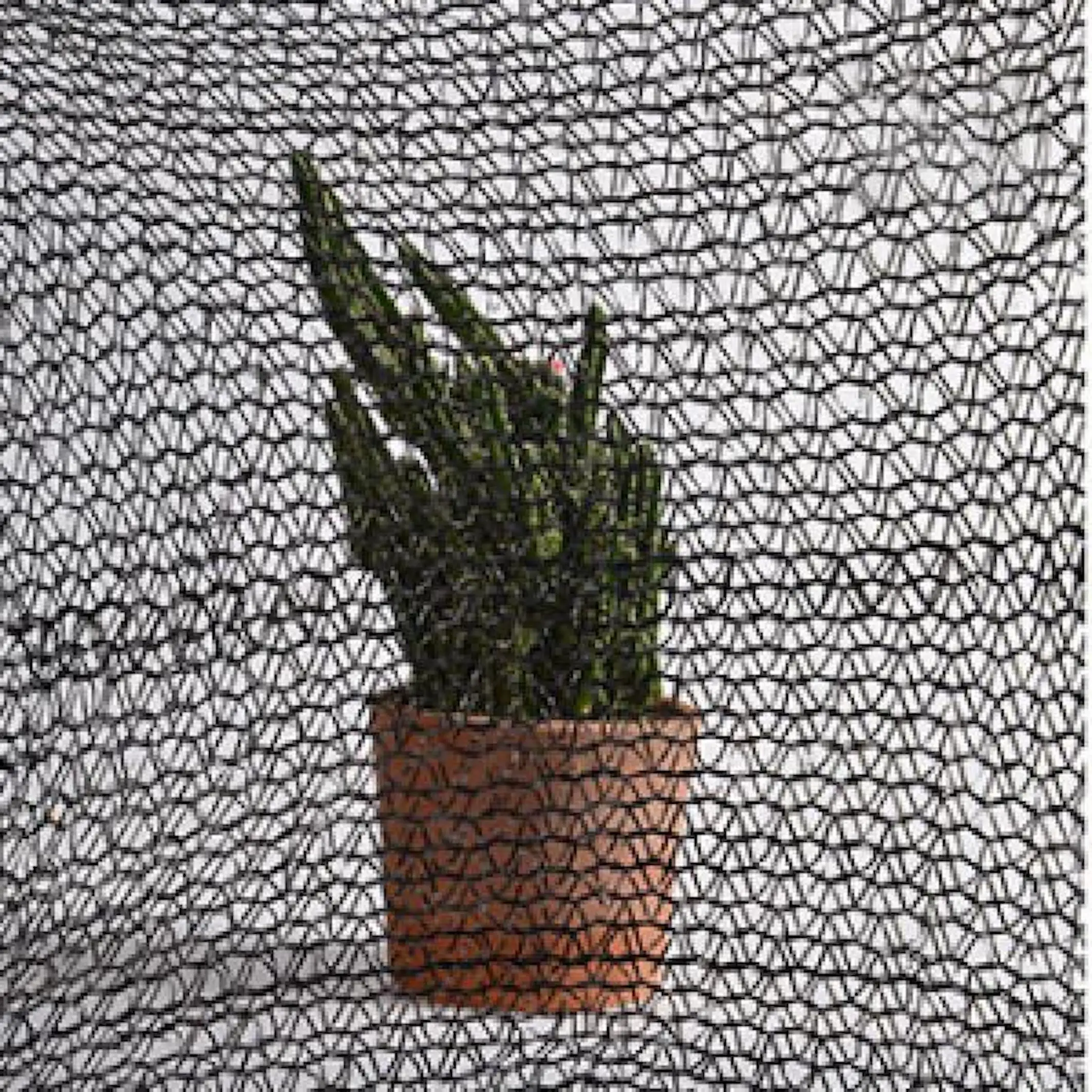 China Factory Agricultural Farming Shade Net Cloth Greenhouse