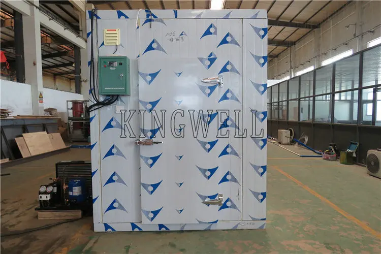 Commercial cold storage room for dry ice storage
