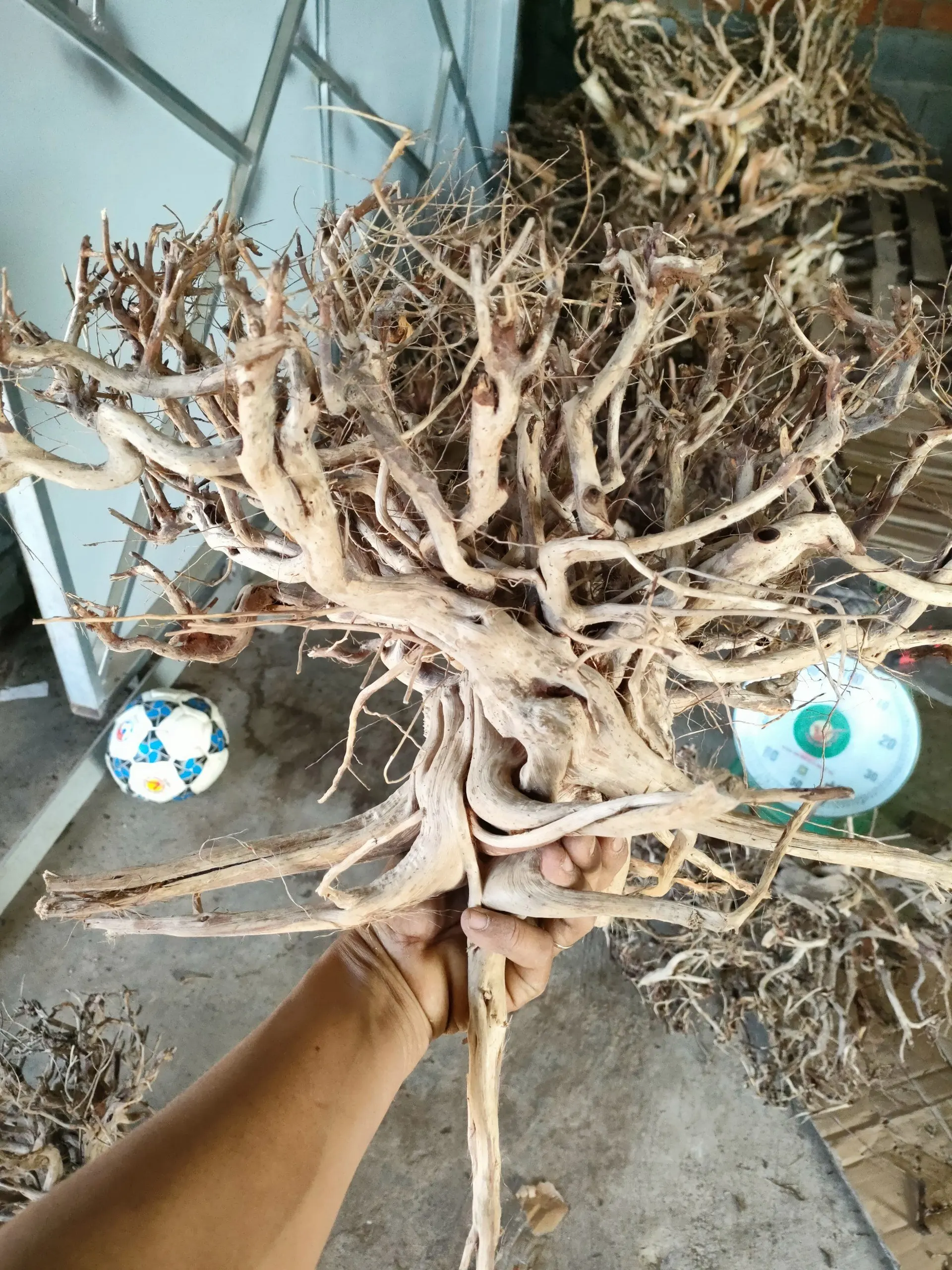 High Quality DRIFTWOOD Ceramics for Aquarium Fish Tank & Stand Most Competitive in Market Sourced in Vietnam