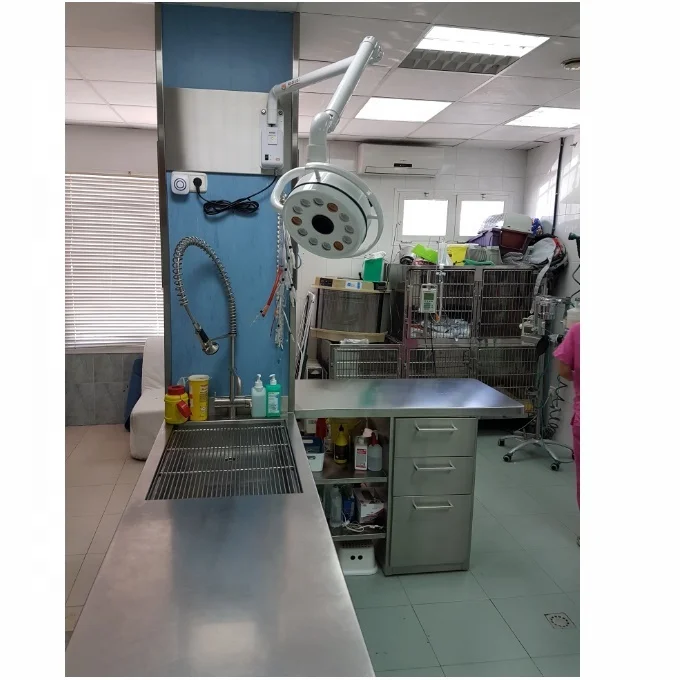 ISO CE led surgical light veterinary operating lamp