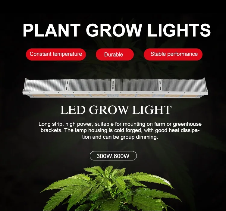 JK  HLTOP03 LED grow light for plants full  spectrum type 300W 600W  green house grow light for veg