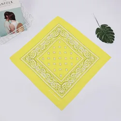 Popular Cotton Blend Hip-hop Paisley Printed Bandanas For Male Female Head Scarf