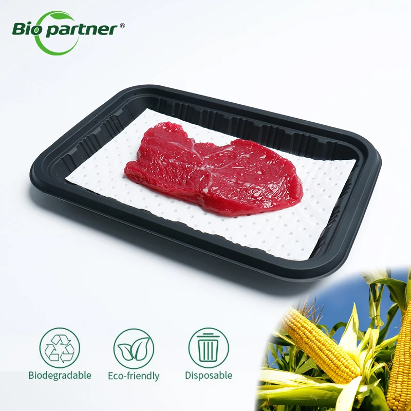 Manufacturer Corn Starch Frozen Meat Fruit Packaging Disposable BLACK Plastic Tray PP Vegetable Meat Tray for Hypermarket