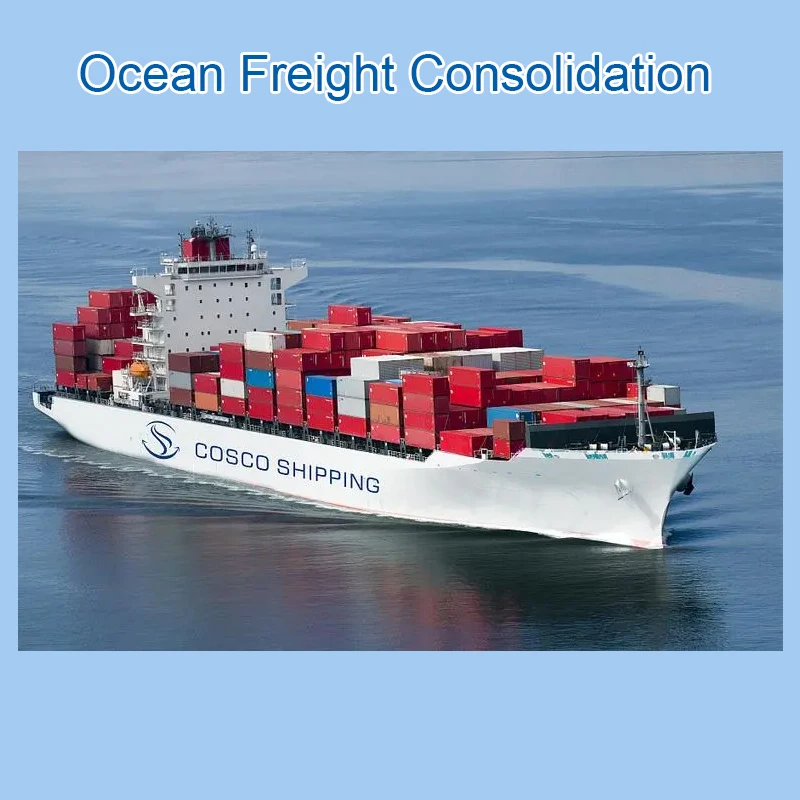 FCL LCL Consolidation Consolidator Warehouse Storage Trucking Loading Services in China-Speedlogistics