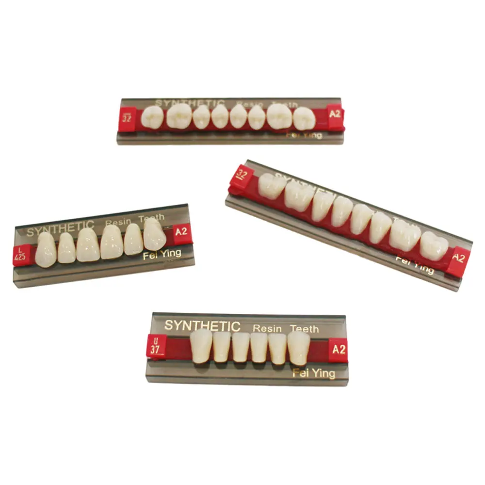 CE, ISO,Composite Artificial Denture Teeth for Wholesale