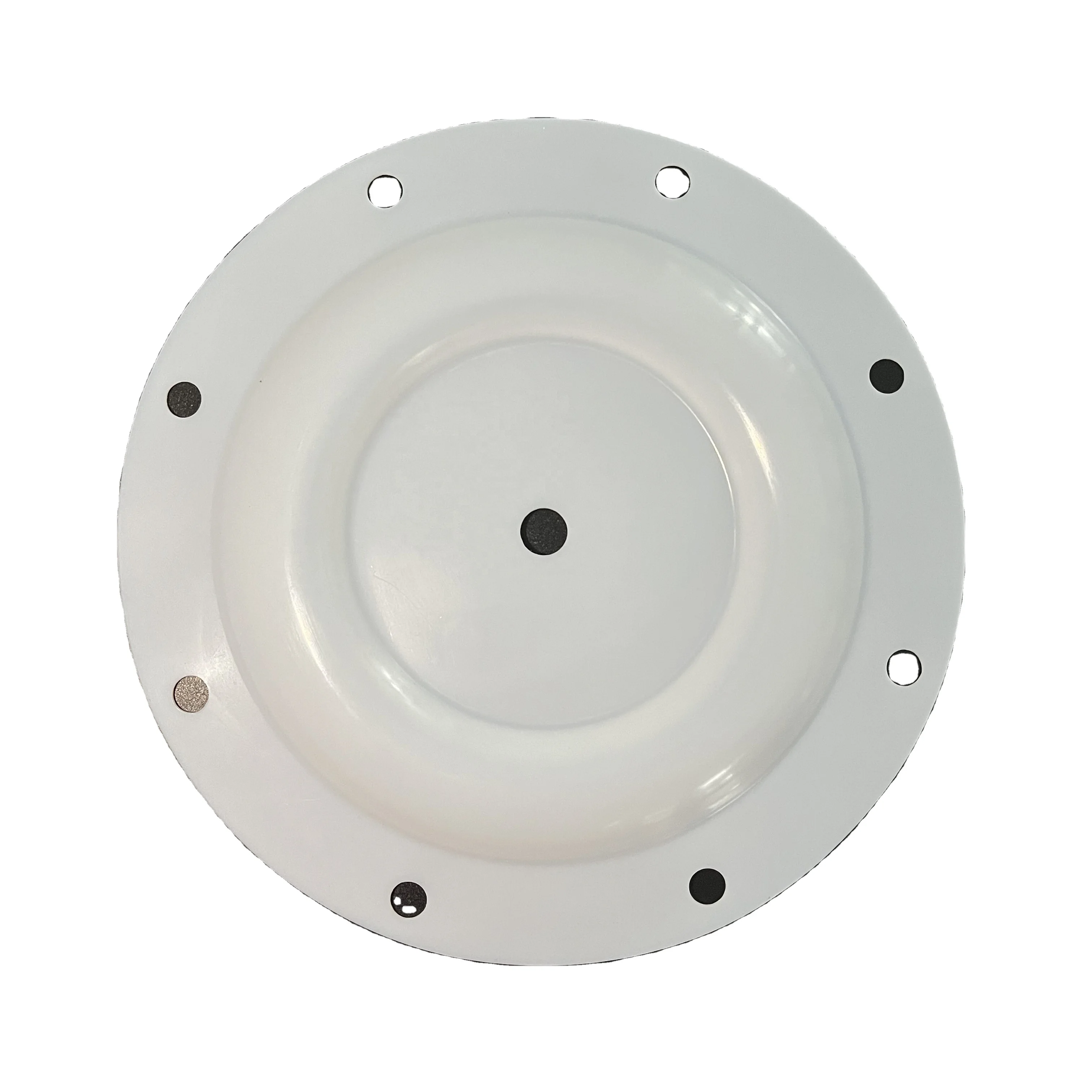 Factory High Quality Pump Spare Parts PTFE Diaphragm for Skylink Air Operated Pump