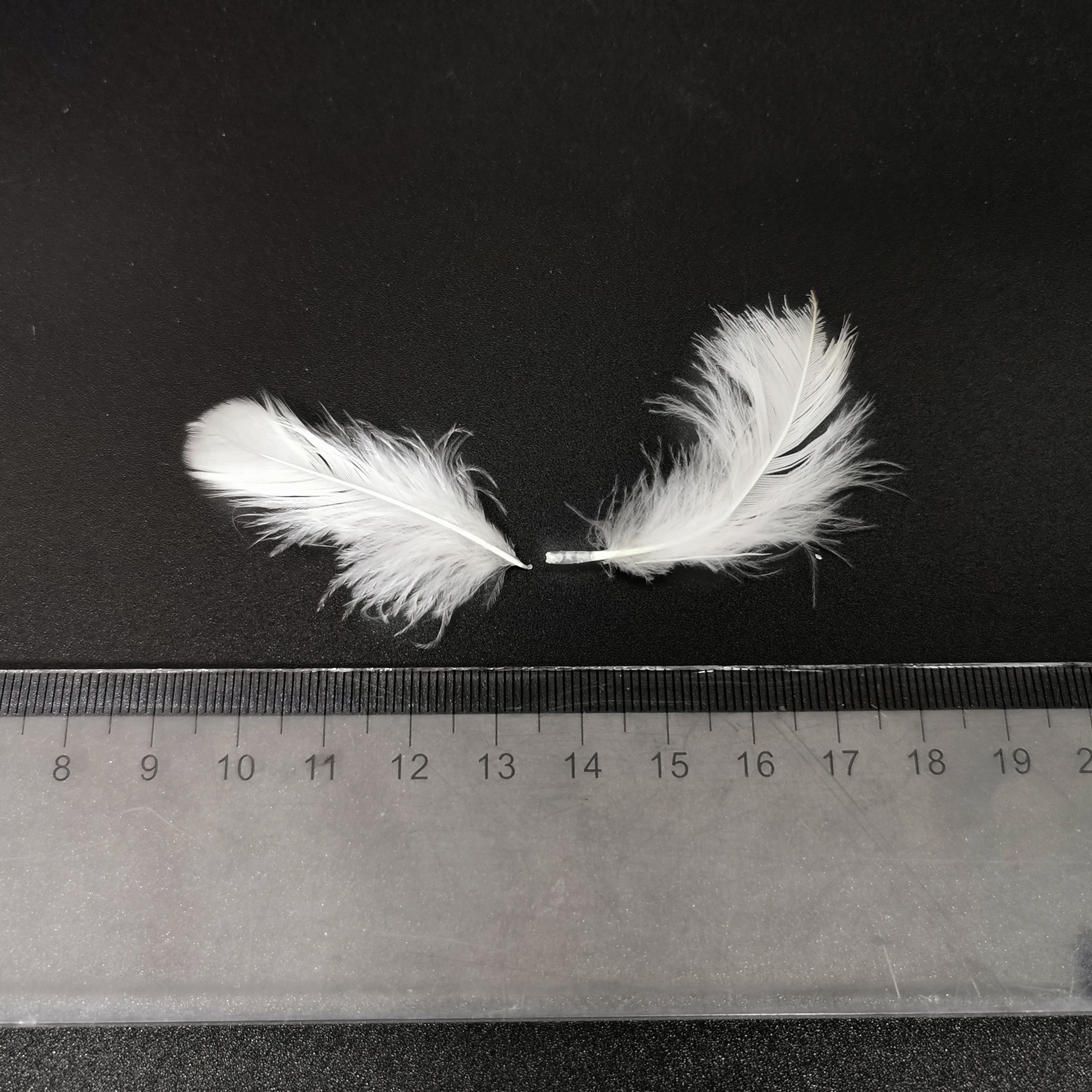 
Washed white duck feather used for blanket and cushion 