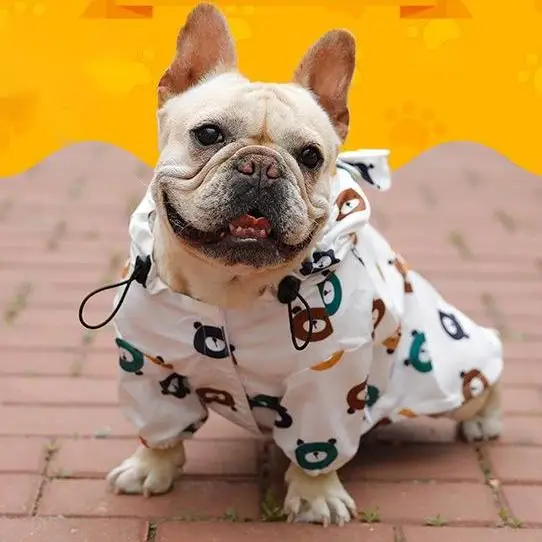 
hot sell 4 legs pet printed suit 