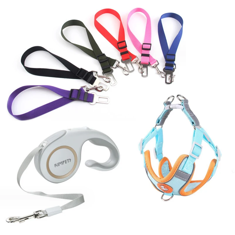 Pu Leather Soft Pet Harness Collar Service Dog, Puppy Leash Set Toys Cloths Led Light Glow In The Dark/