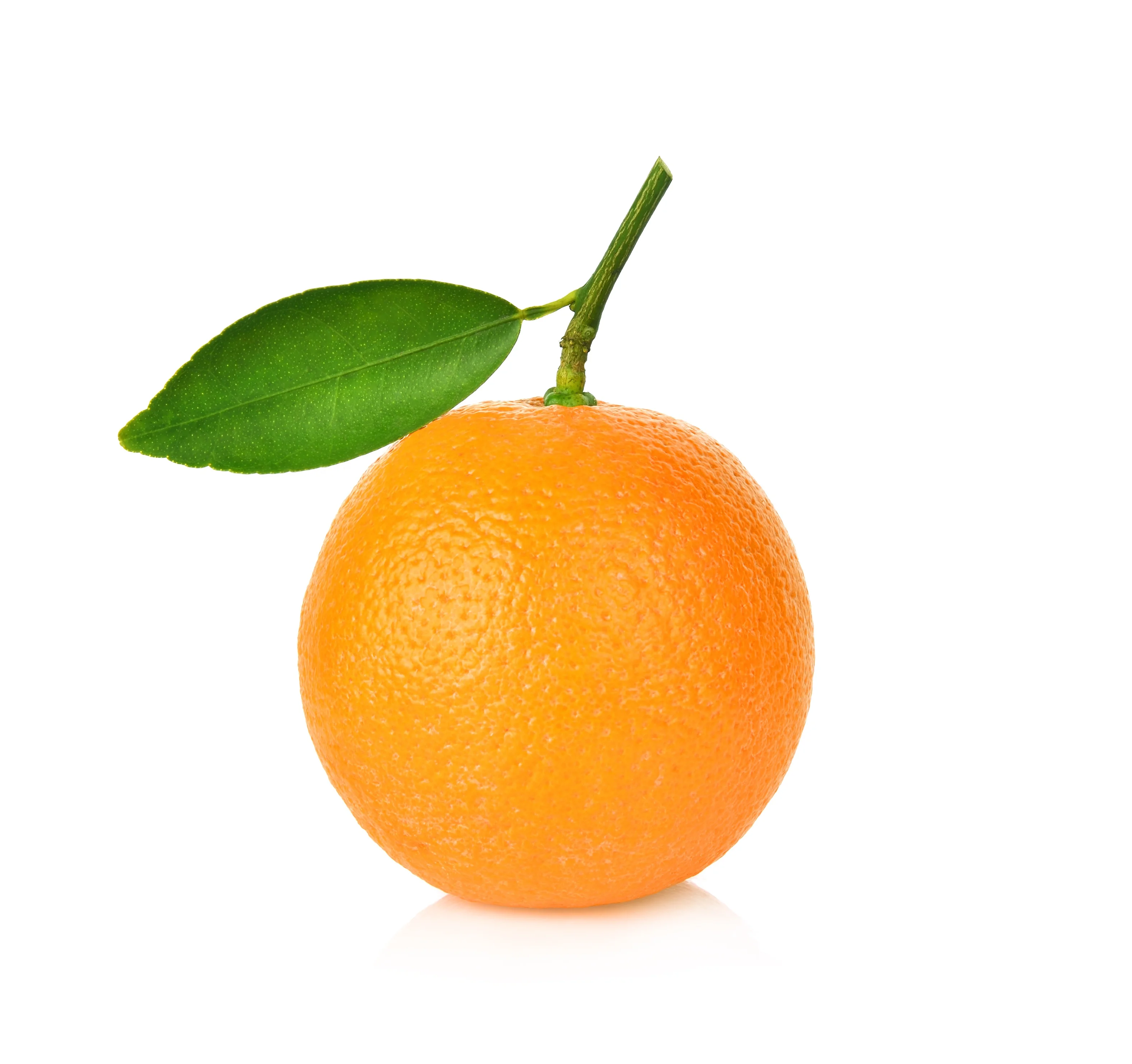 
VALENCIA ORANGE FOR ORANGE JUICE 